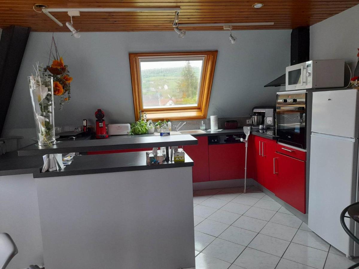 Gite Le Jardin De Hermolsheim. Alsace Tres Spacieux Mutzig Exterior foto