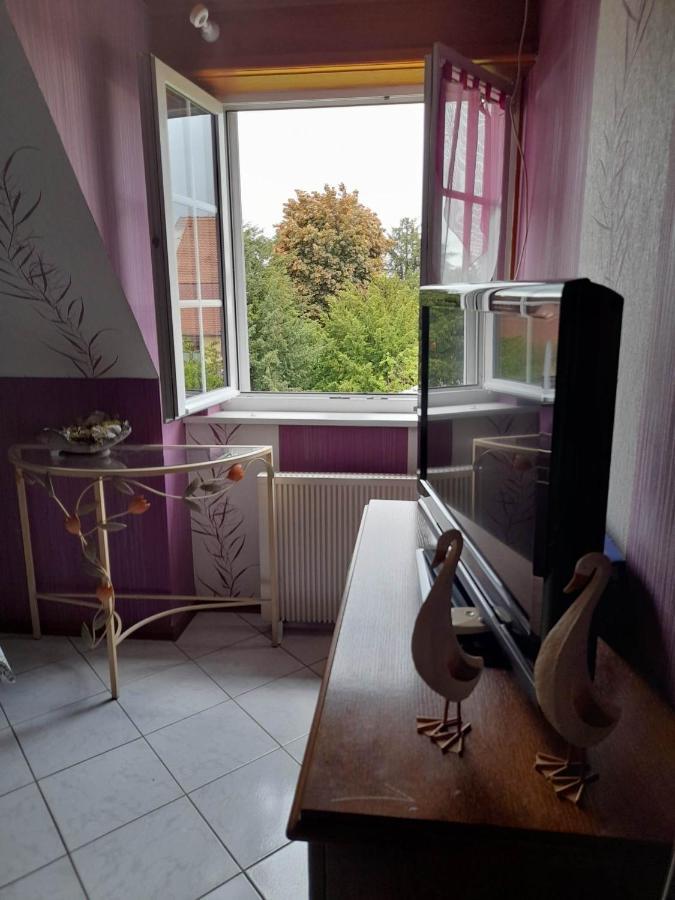 Gite Le Jardin De Hermolsheim. Alsace Tres Spacieux Mutzig Exterior foto